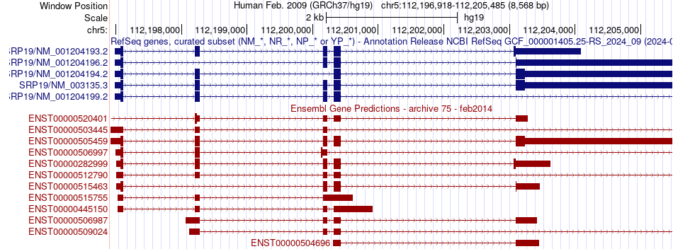 gene isoform structure of SRP19
