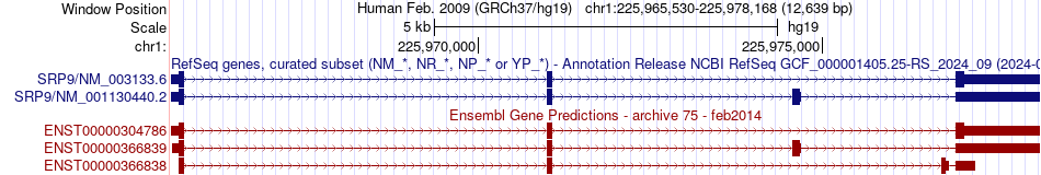 gene isoform structure of SRP9