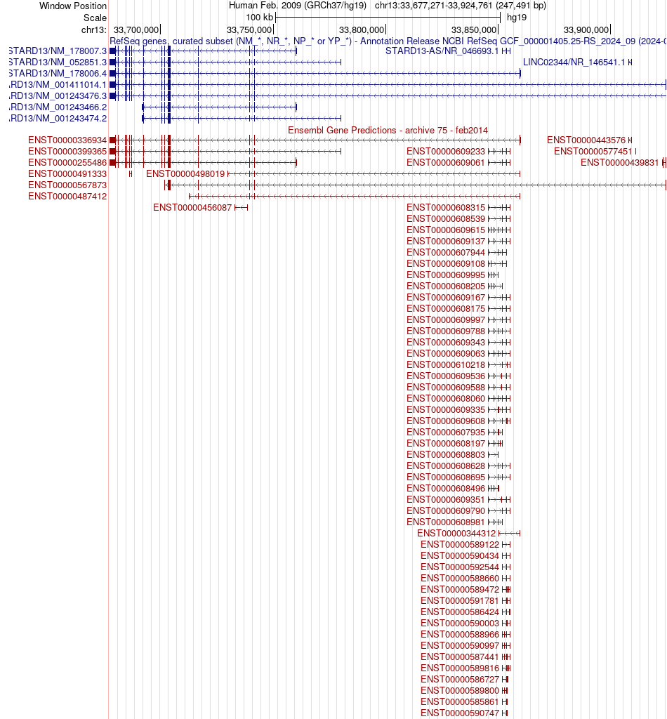 gene isoform structure of STARD13