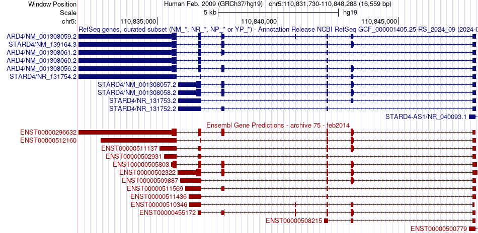 gene isoform structure of STARD4
