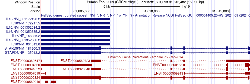 gene isoform structure of STARD5
