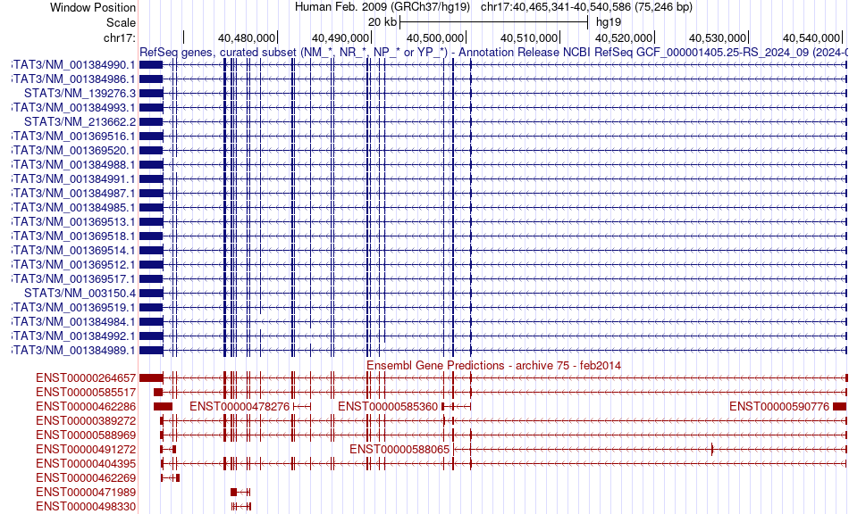 gene isoform structure of STAT3