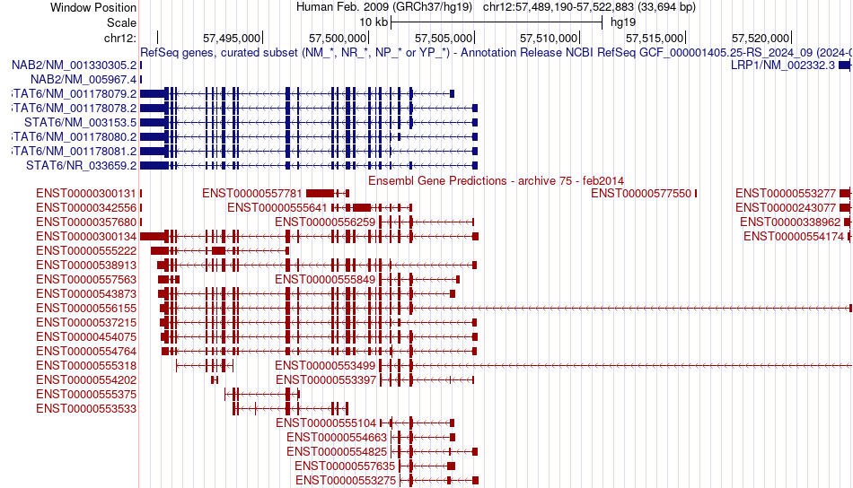 gene isoform structure of STAT6