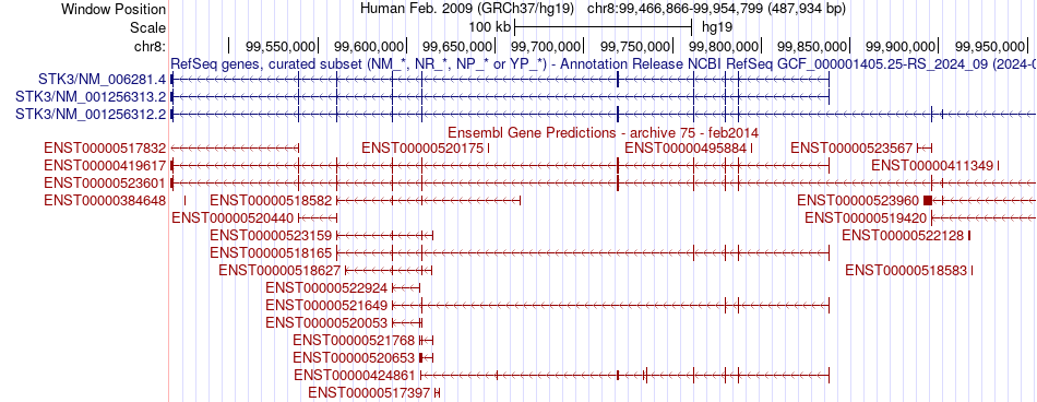 gene isoform structure of STK3