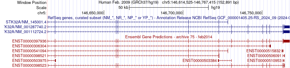 gene isoform structure of STK32A
