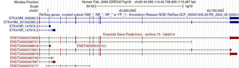 gene isoform structure of STK4