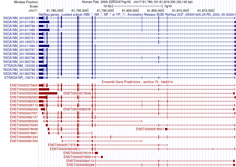 gene isoform structure of STRADA