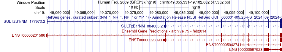 gene isoform structure of SULT2B1