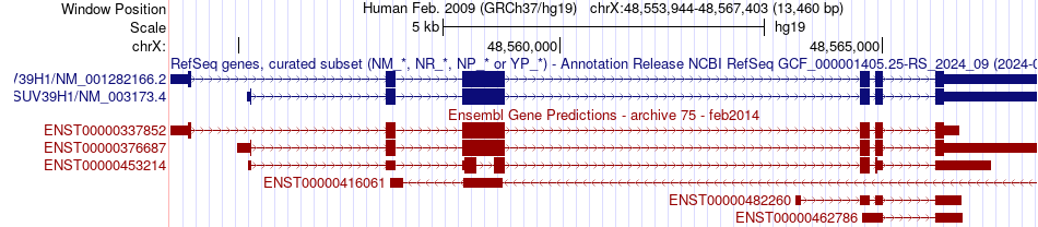 gene isoform structure of SUV39H1