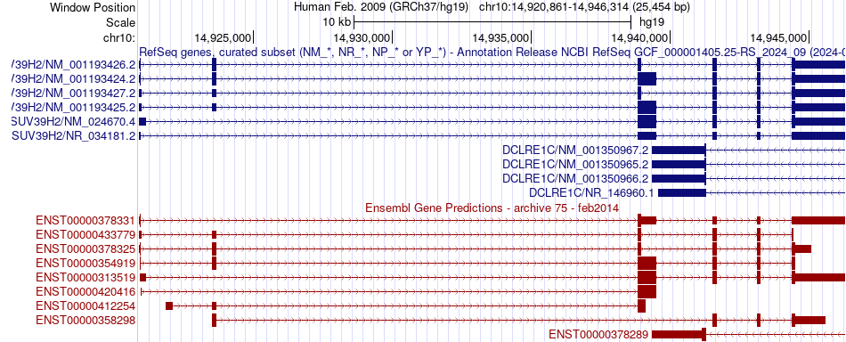 gene isoform structure of SUV39H2