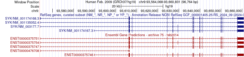 gene isoform structure of SYK