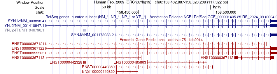 gene isoform structure of SYNJ2