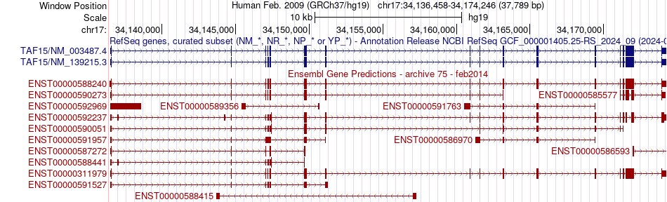 gene isoform structure of TAF15