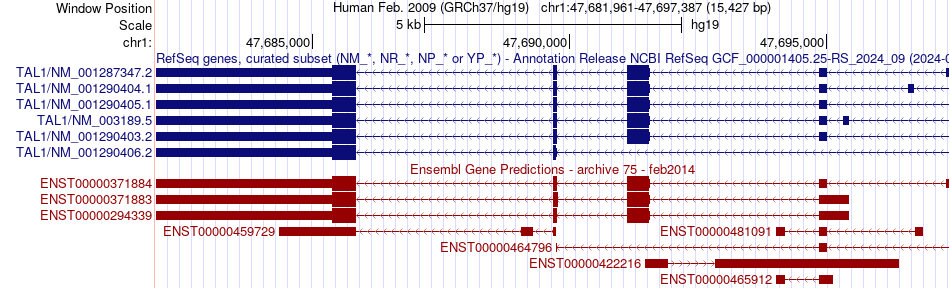 gene isoform structure of TAL1