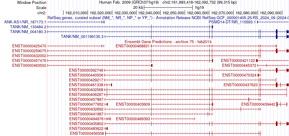gene isoform structure of TANK