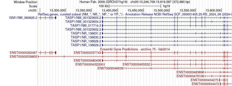 gene isoform structure of TASP1