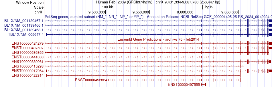 gene isoform structure of TBL1X