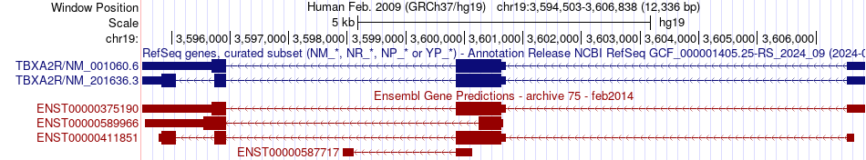 gene isoform structure of TBXA2R