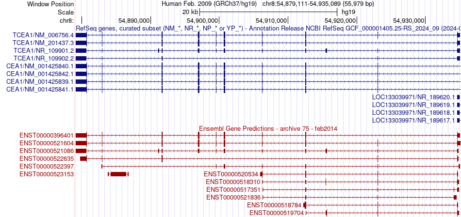 gene isoform structure of TCEA1