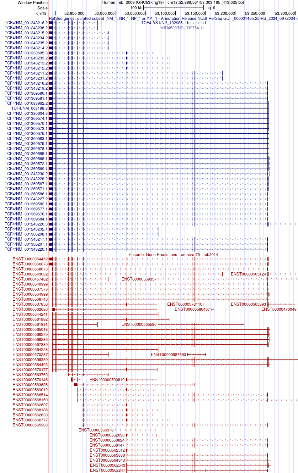 gene isoform structure of TCF4