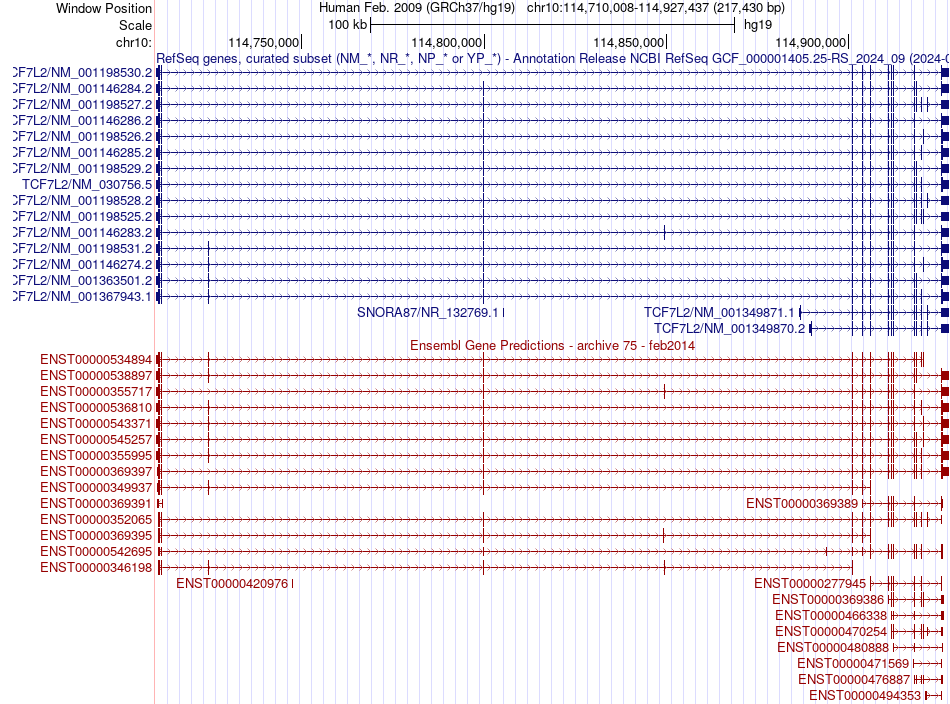 gene isoform structure of TCF7L2