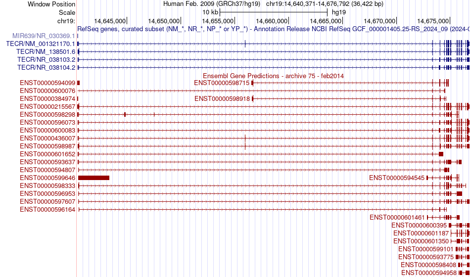 gene isoform structure of TECR