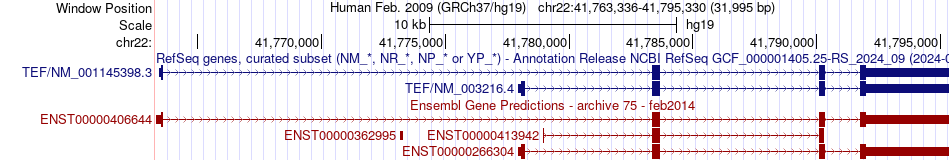 gene isoform structure of TEF