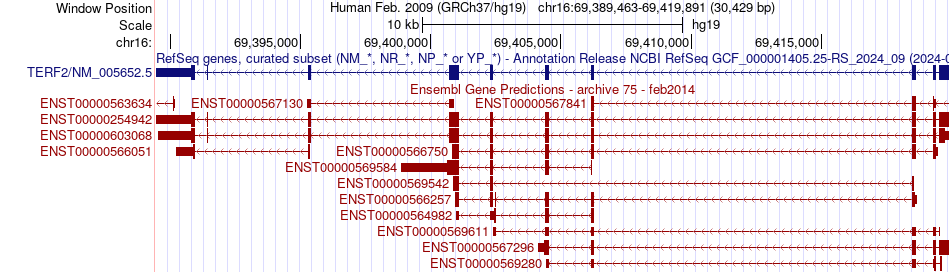 gene isoform structure of TERF2