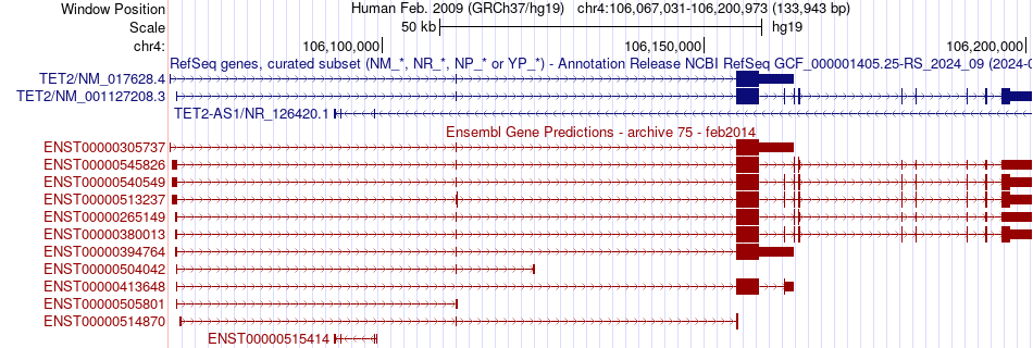 gene isoform structure of TET2