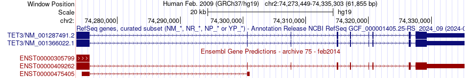 gene isoform structure of TET3