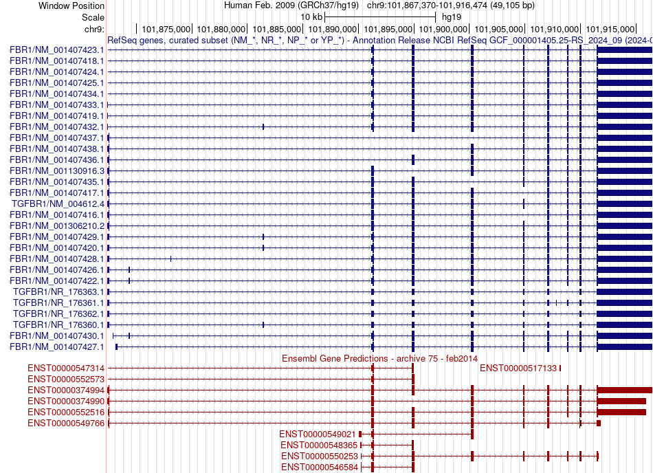 gene isoform structure of TGFBR1