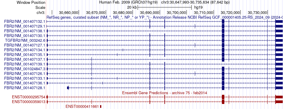 gene isoform structure of TGFBR2