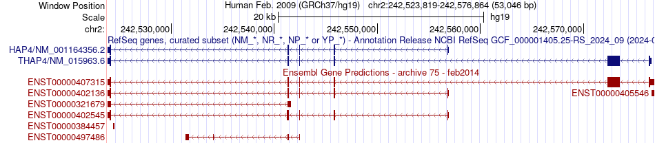 gene isoform structure of THAP4