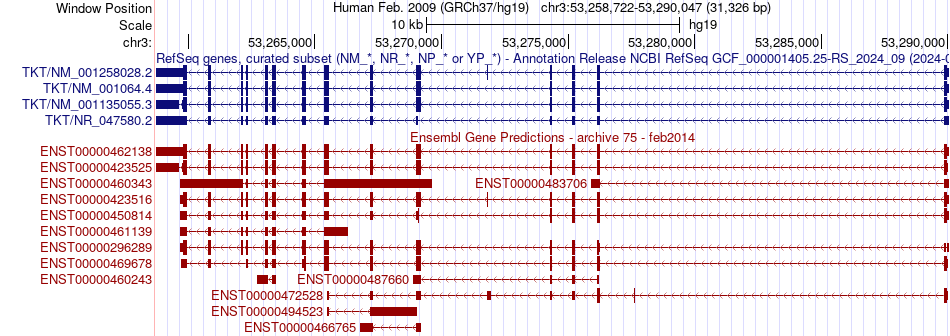 gene isoform structure of TKT