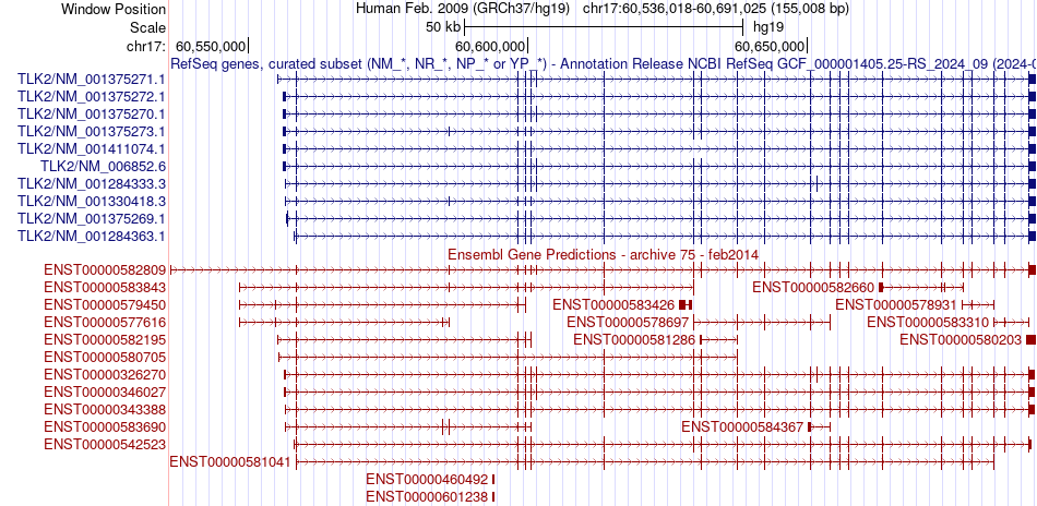 gene isoform structure of TLK2