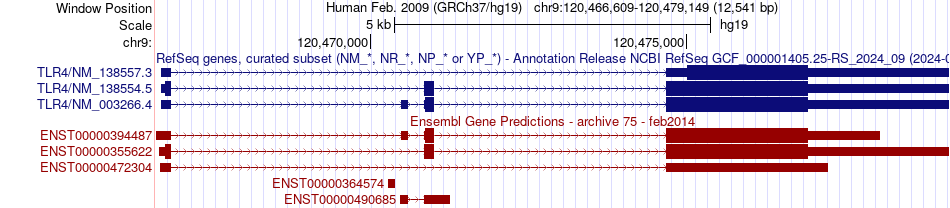 gene isoform structure of TLR4