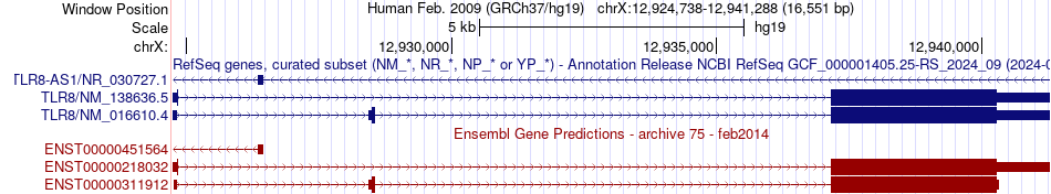 gene isoform structure of TLR8