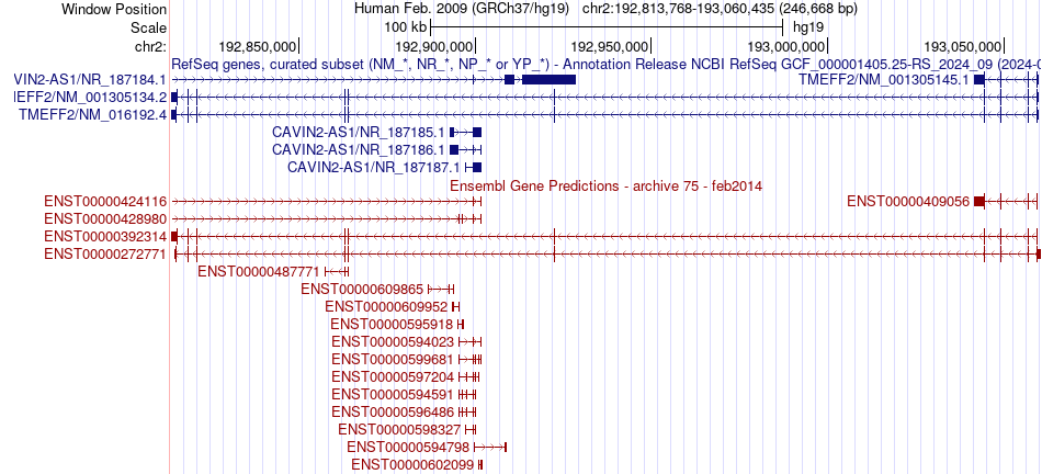 gene isoform structure of TMEFF2