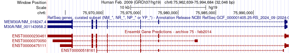 gene isoform structure of TMEM30A