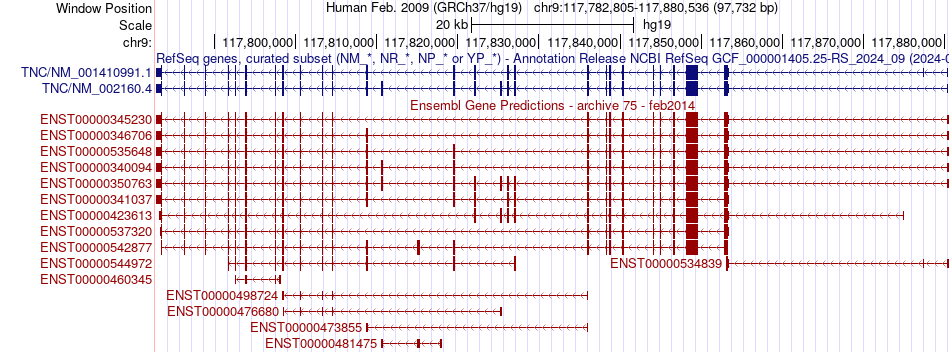 gene isoform structure of TNC