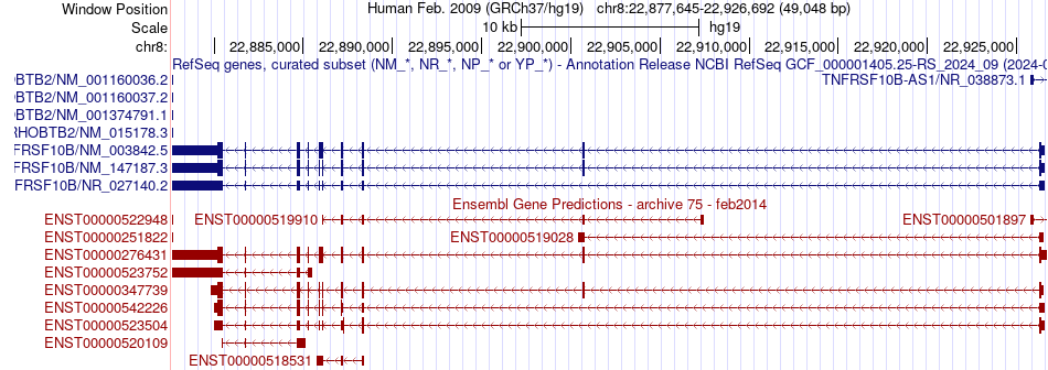 gene isoform structure of TNFRSF10B