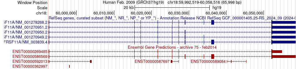 gene isoform structure of TNFRSF11A
