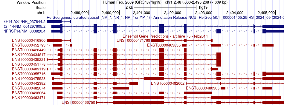 gene isoform structure of TNFRSF14