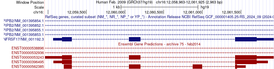 gene isoform structure of TNFRSF17
