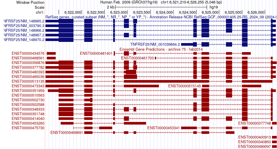 gene isoform structure of TNFRSF25
