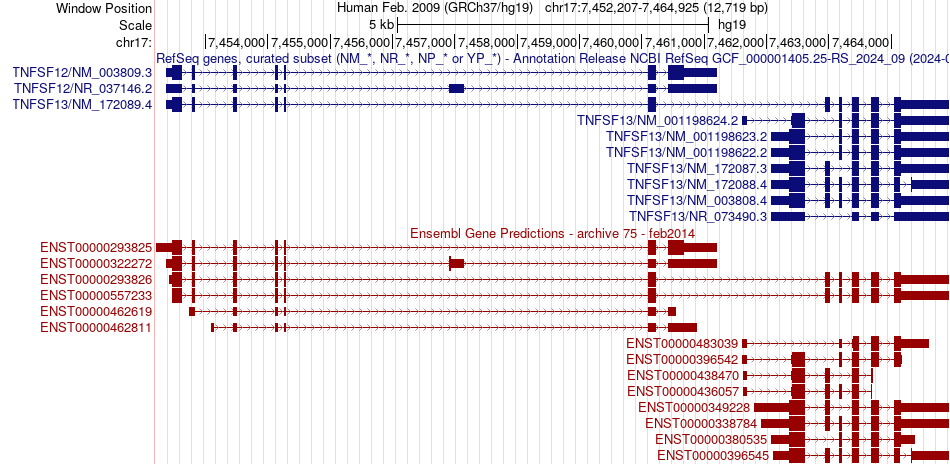 gene isoform structure of TNFSF12