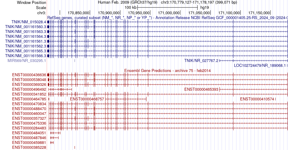 gene isoform structure of TNIK