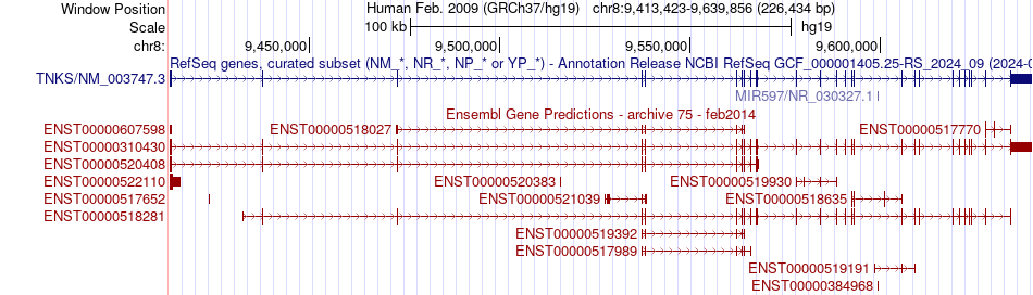 gene isoform structure of TNKS