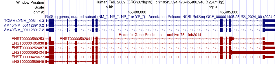 gene isoform structure of TOMM40
