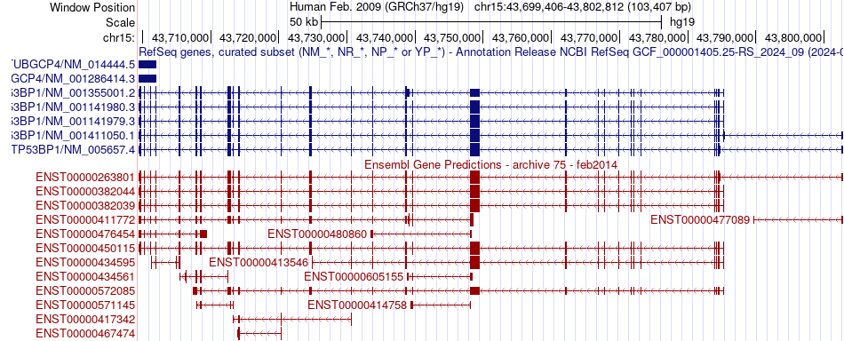 gene isoform structure of TP53BP1